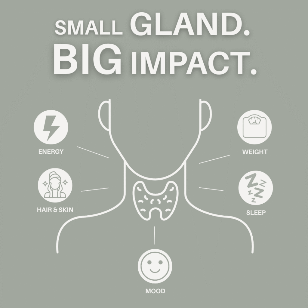 Illustration of the thyroid gland highlighting how thyroid function impacts energy, mood, sleep, hair and skin, and weight. Educational thyroid health graphic in New Beginnings Wellness brand colors with the headline “Small Gland. Big Impact.”