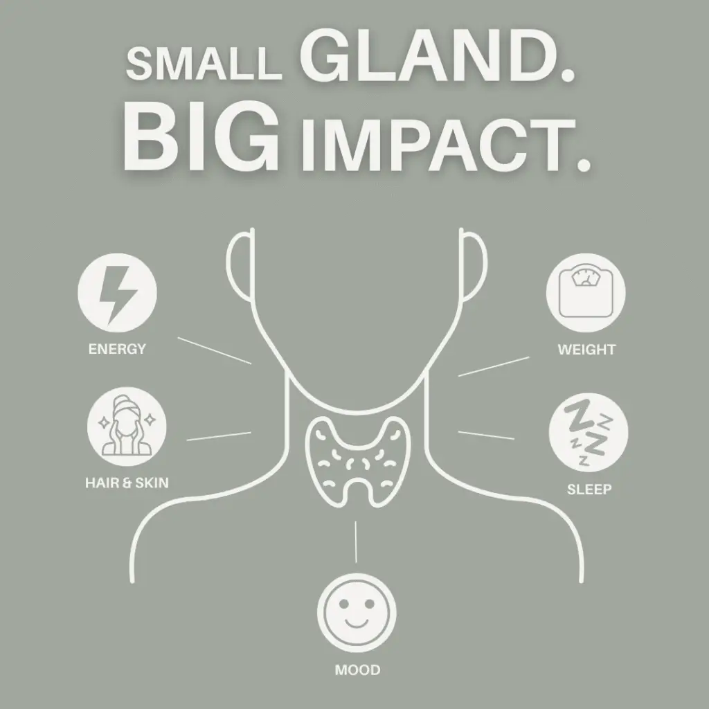 Illustration of the thyroid gland highlighting how thyroid function impacts energy, mood, sleep, hair and skin, and weight. Educational thyroid health graphic in New Beginnings Wellness brand colors with the headline “Small Gland. Big Impact.”