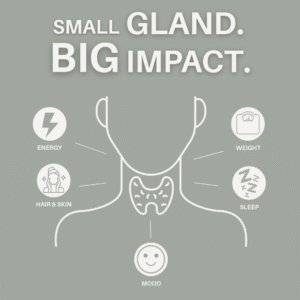 Illustration of the thyroid gland highlighting how thyroid function impacts energy, mood, sleep, hair and skin, and weight. Educational thyroid health graphic in New Beginnings Wellness brand colors with the headline “Small Gland. Big Impact.”