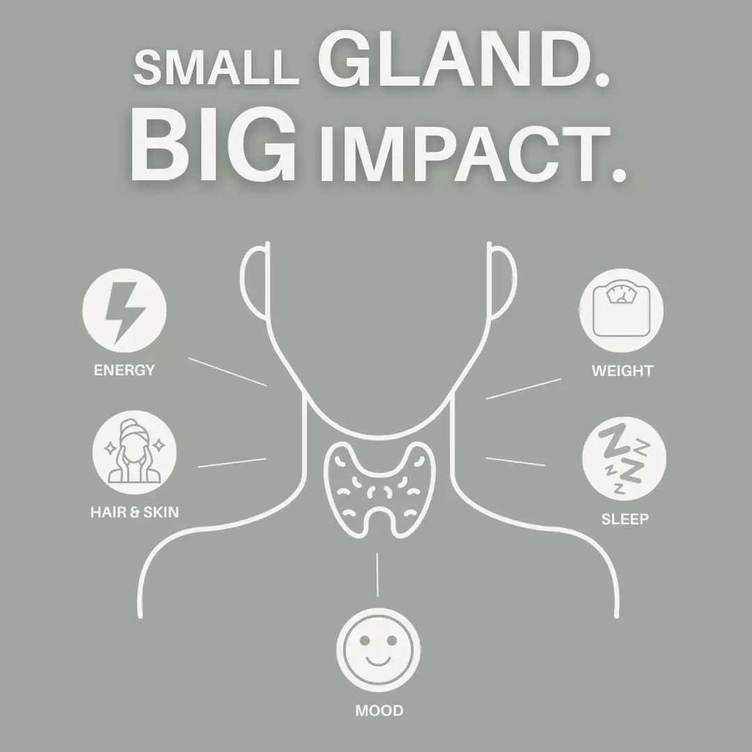 Illustration of the thyroid gland highlighting how thyroid function impacts energy, mood, sleep, hair and skin, and weight. Educational thyroid health graphic in New Beginnings Wellness brand colors with the headline “Small Gland. Big Impact.”